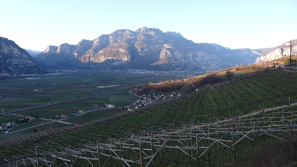 Cima Monticello (Trentino-Alto Adige)