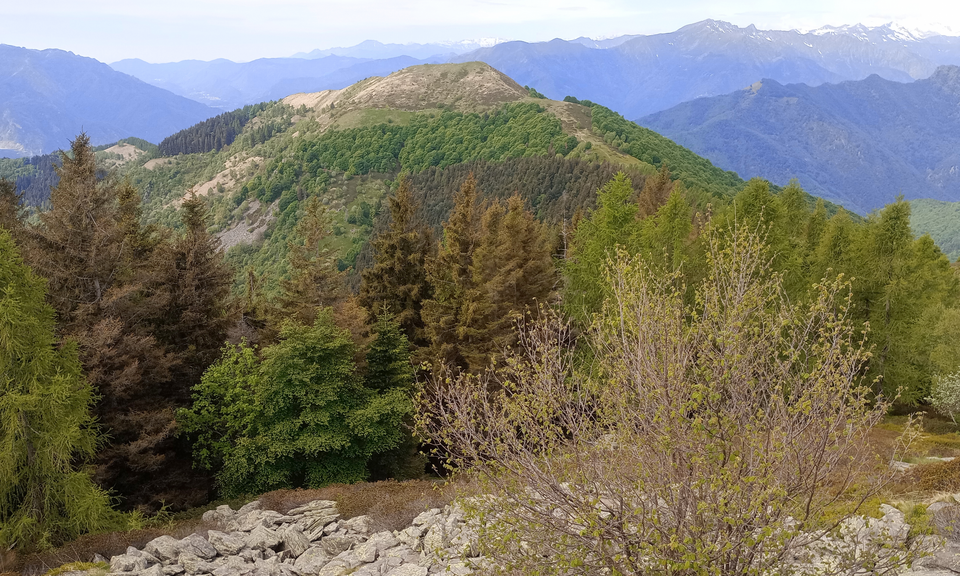 Pizzo Pernice (Piemonte)