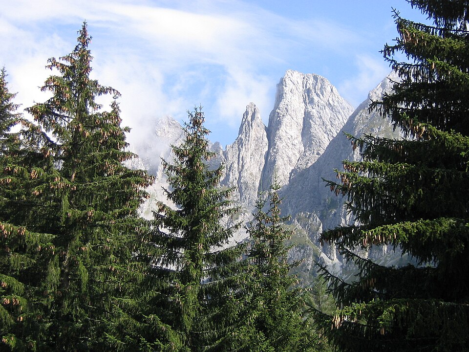 Cimone della Bagozza (Lombardia)