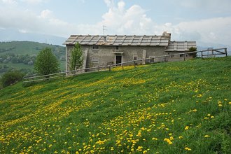Malga Maia (Trentino-Alto Adige)