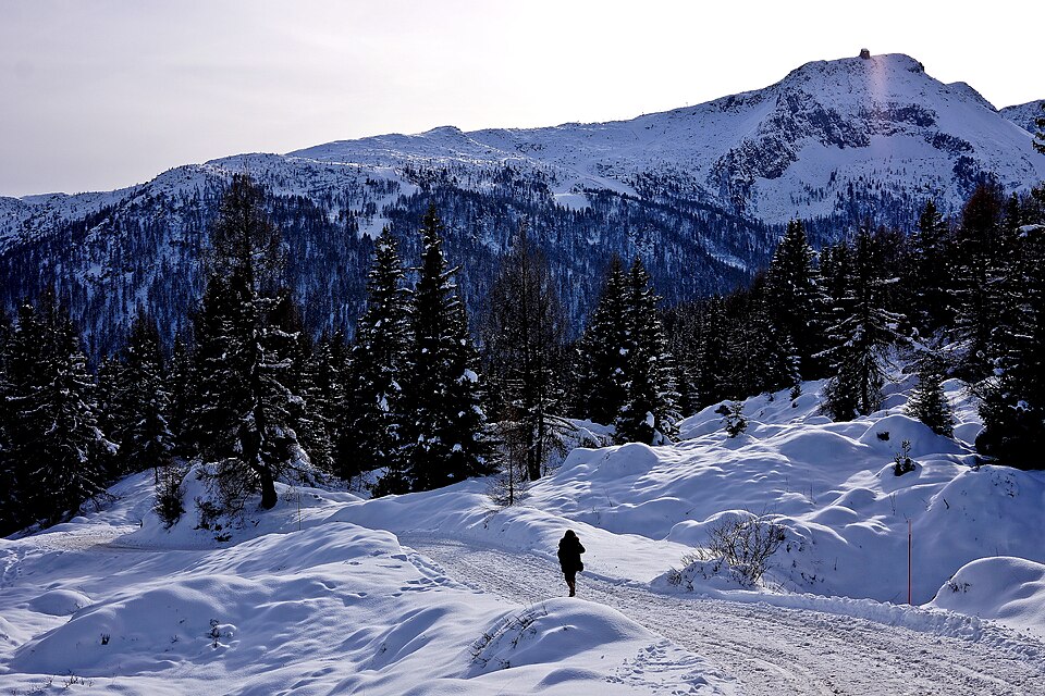 Col Margherita - Col de Margarita (Trentino-Alto Adige)