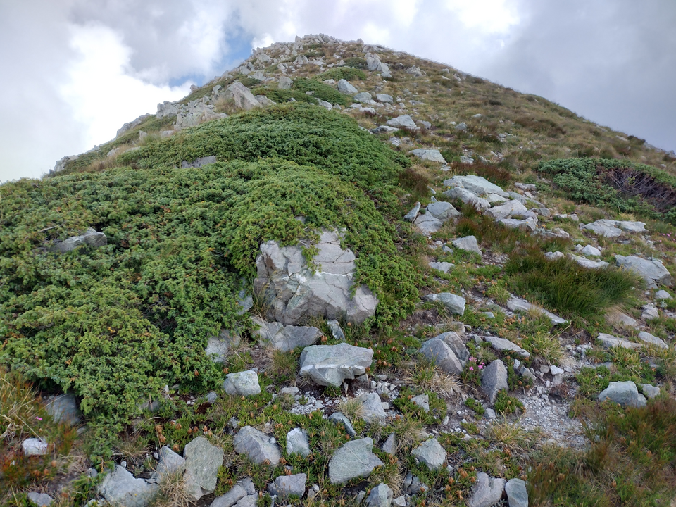 Rocche de Gaudioline (Piemonte)