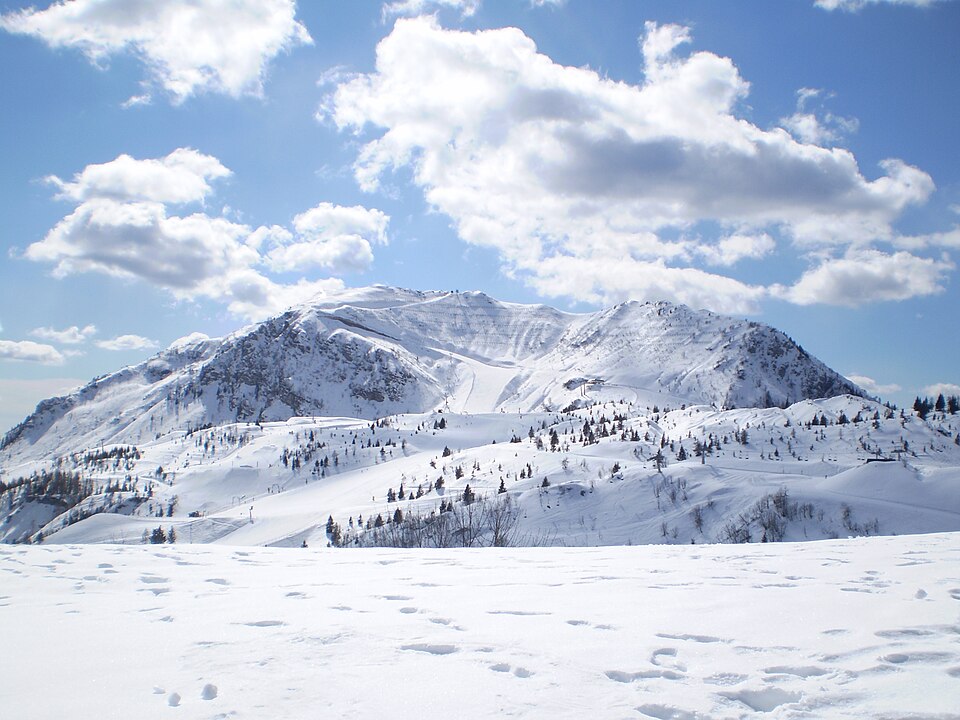 Monte Tamai (Friuli Venezia Giulia)