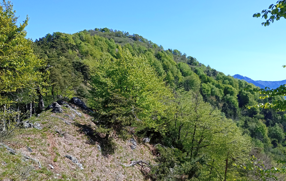 Monte Teje (Piemonte)