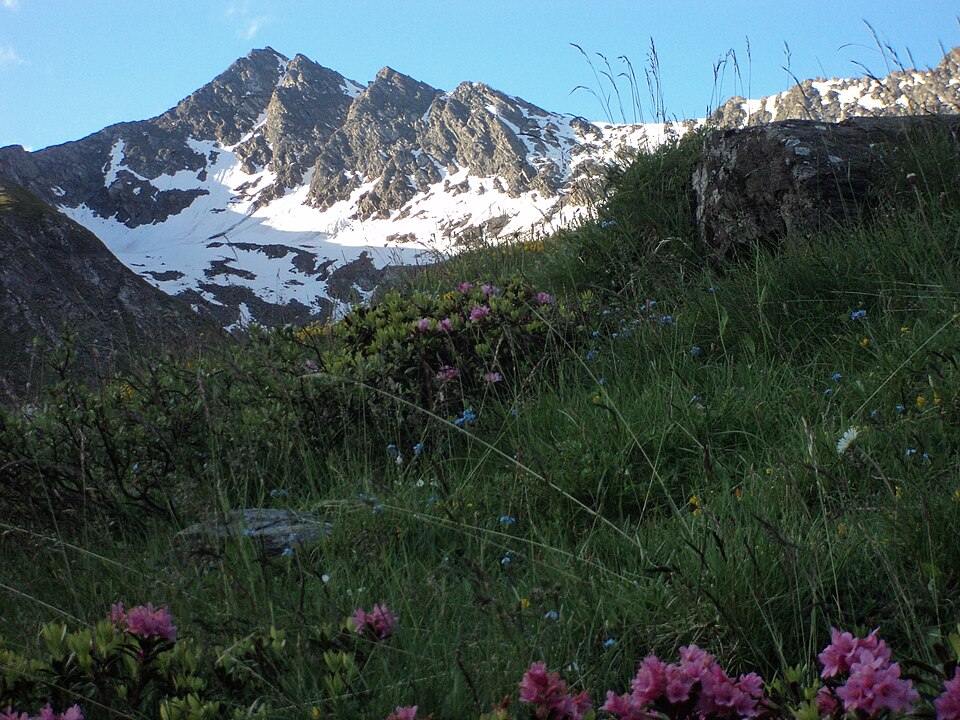 Monte Barifreddo (Piemonte)