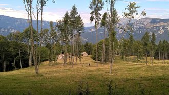 Malga Barognolo (Trentino-Alto Adige)