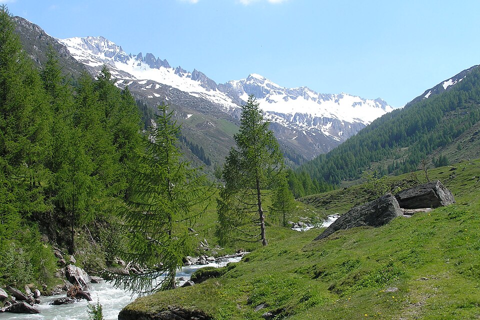 Cima Quadra (Trentino-Alto Adige)