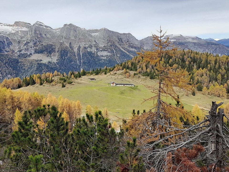 Malga Termoncello (Trentino-Alto Adige)