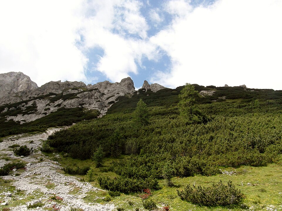Piccola Rocca dei Baranci Cima Est (Trentino-Alto Adige)