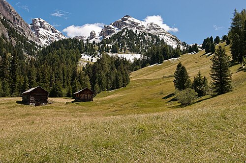 Col di Poma (Trentino-Alto Adige)