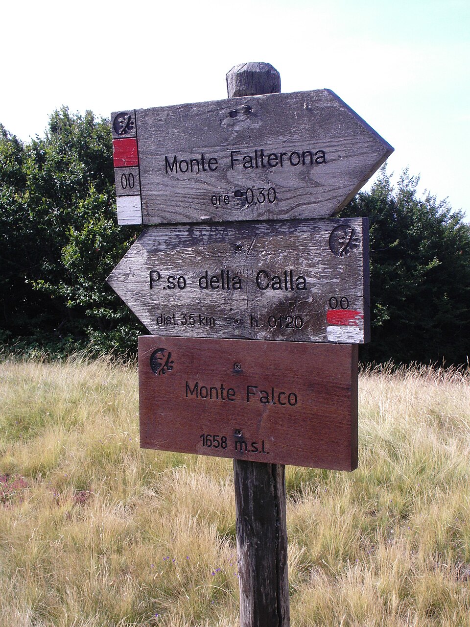 Monte Falco (Toscana)