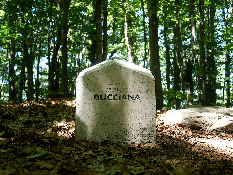 Monte Bucciana (Toscana)