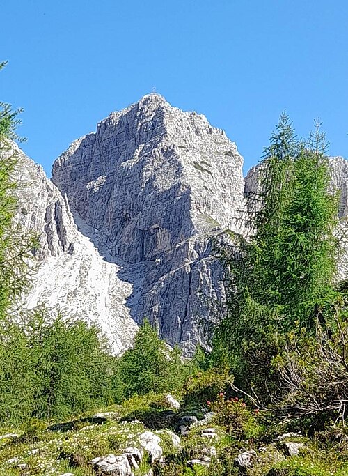 Cima Borcola (Trentino-Alto Adige)