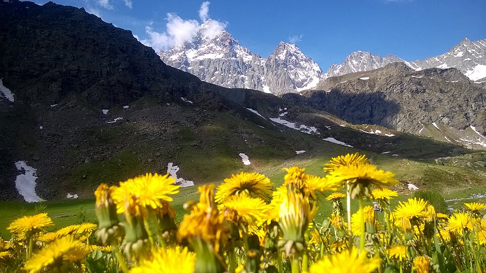 Pian della Regina (Lombardia)