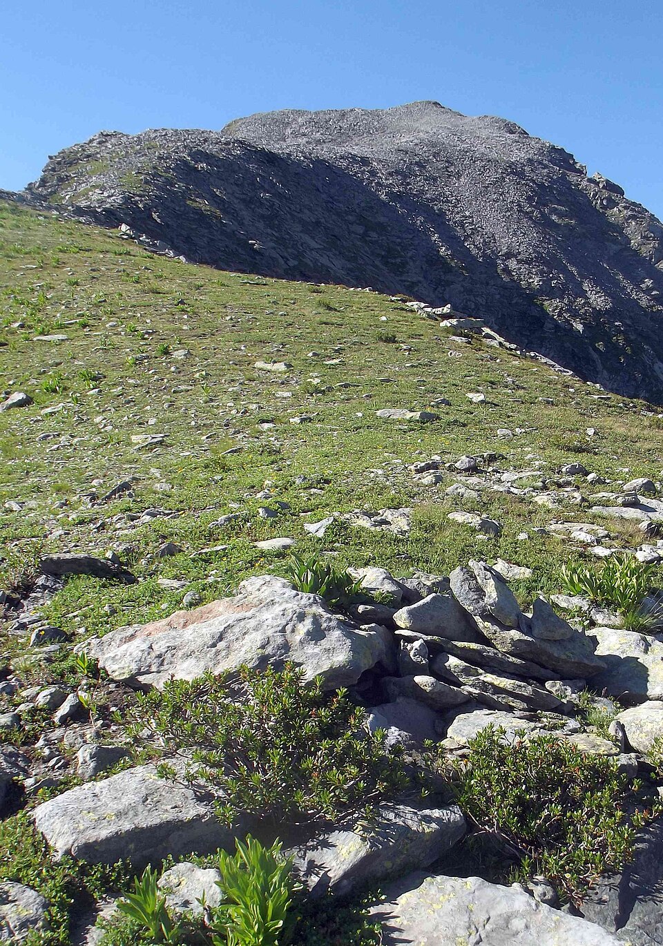 Cima Chiavesso (Piemonte)