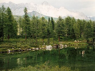 Passo San Pellegrino (Trentino-Alto Adige)