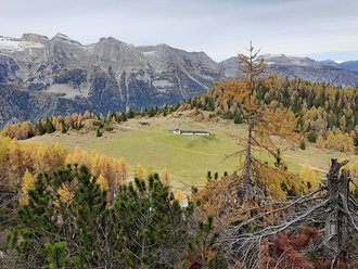 Malga Termoncello (Trentino-Alto Adige)