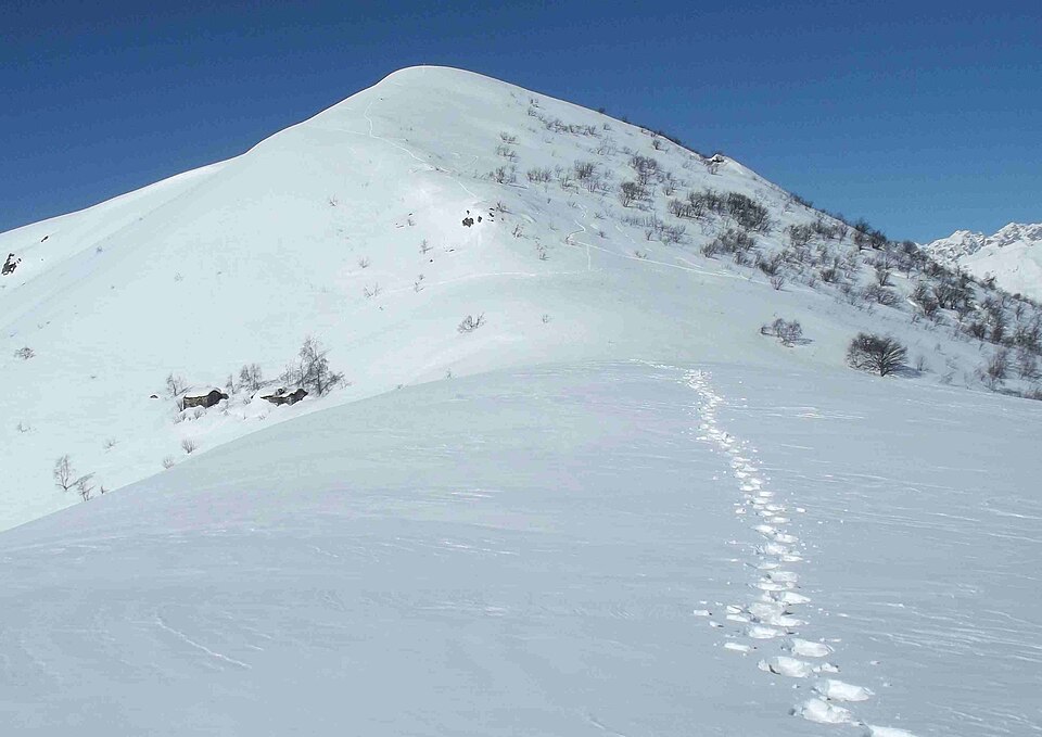 Cima Mares (Piemonte)
