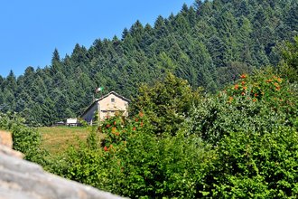Malga Lavacchione (Trentino-Alto Adige)