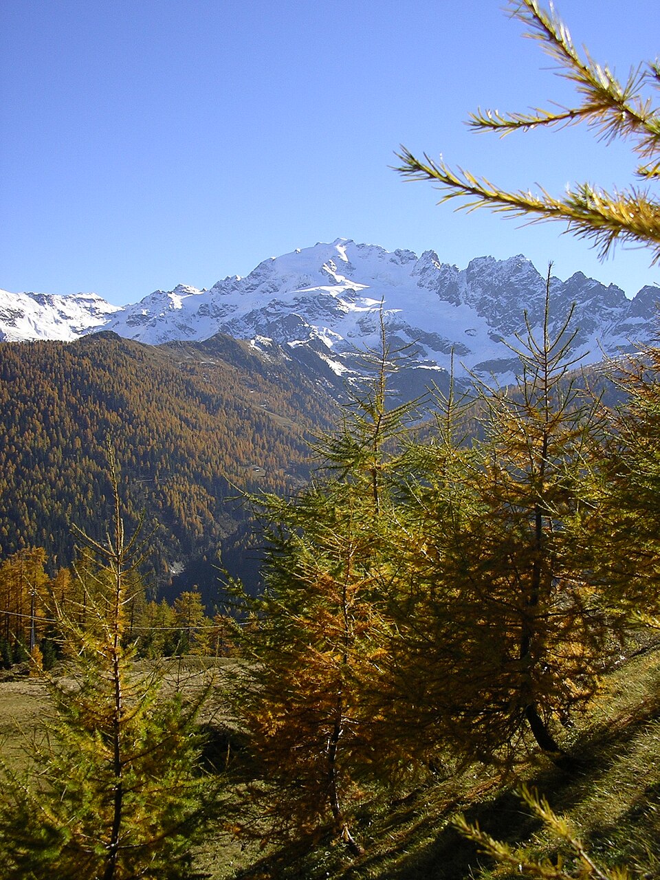 Cima de' Piazzi (Lombardia)