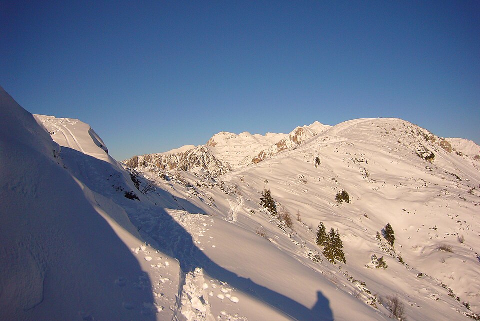 Cima Trappola (Veneto)