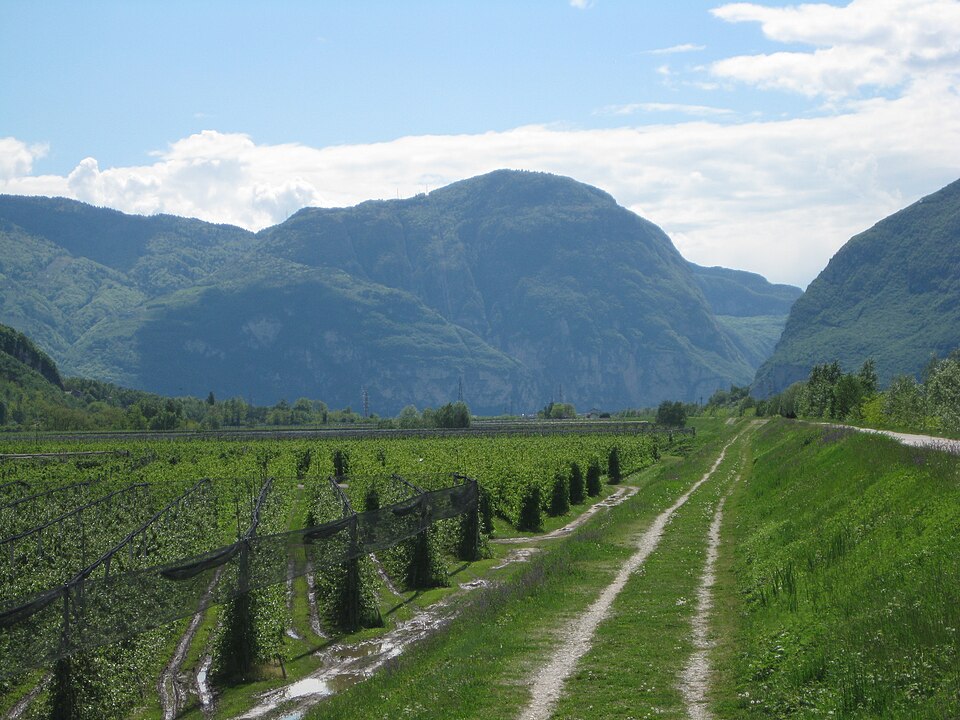 Monte Alto (Trentino-Alto Adige)