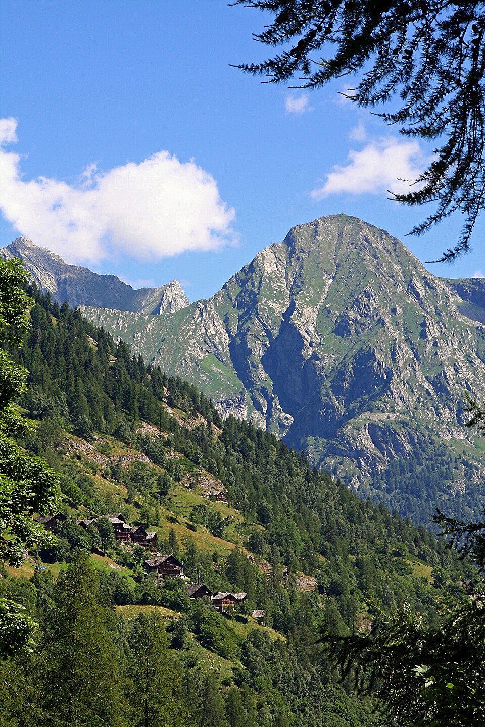 Cima Carnera (Piemonte)