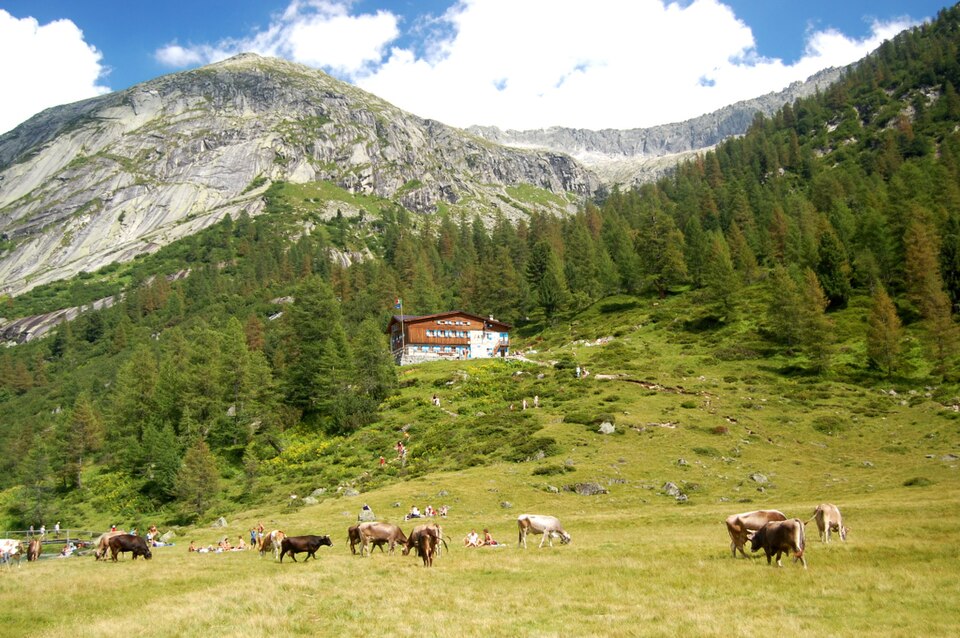 Rifugio Val di Fumo (Trentino-Alto Adige)