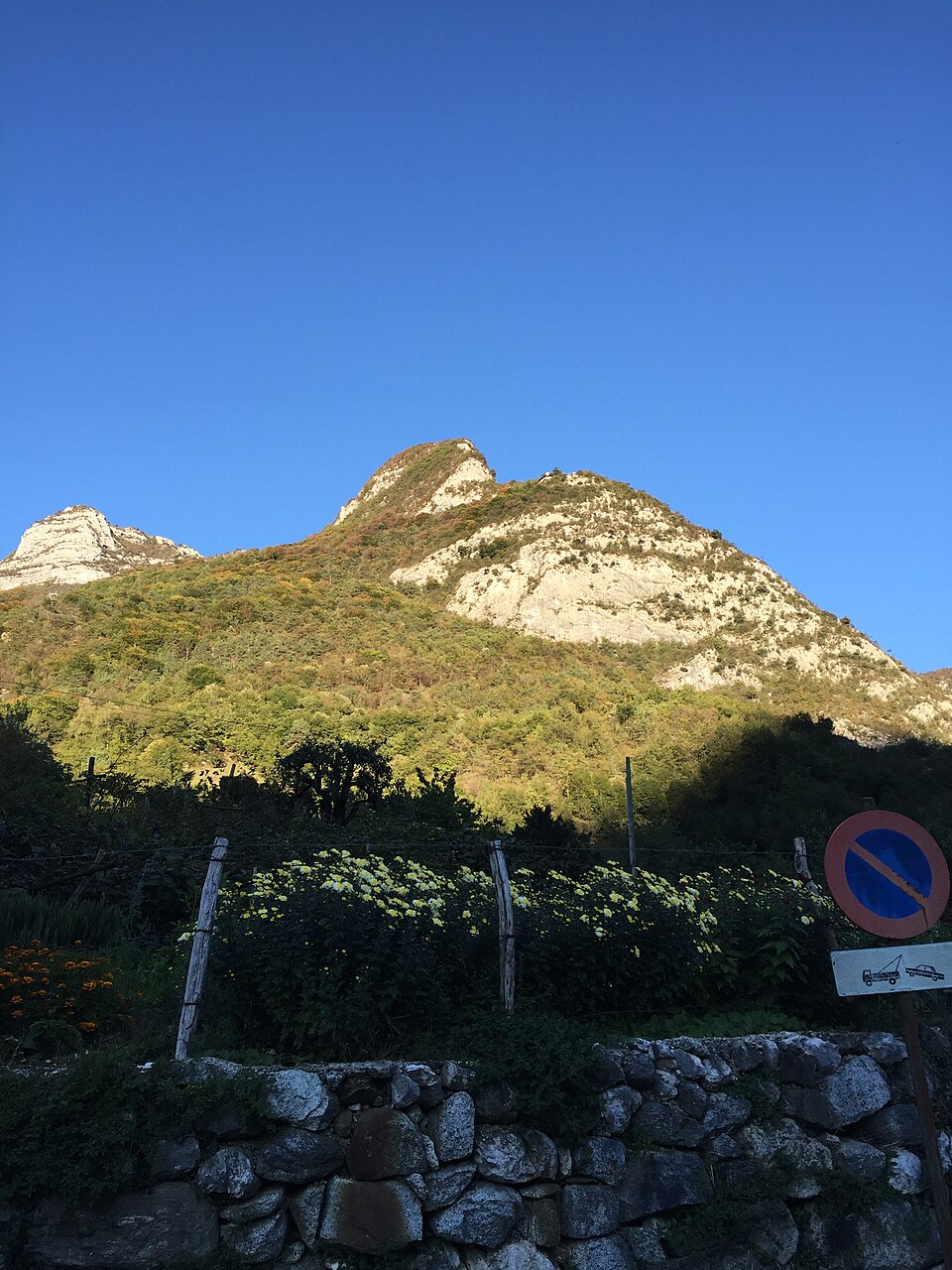 Cima Rocca (Trentino-Alto Adige)